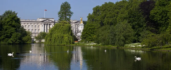 Weergave van buckingham palace van St. james's park in Londen — Stockfoto