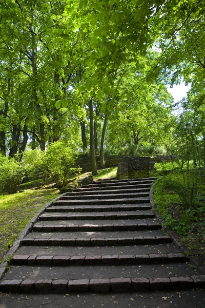 Bastion hill park w Rydze — Zdjęcie stockowe