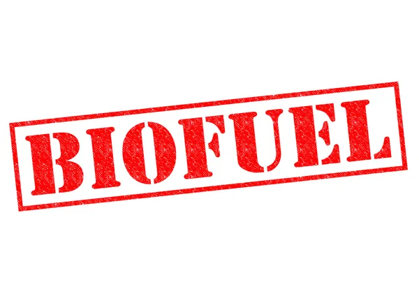 Biocombustibile — Foto Stock