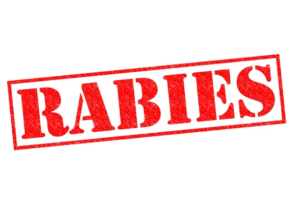 RABIES — Stock Photo, Image