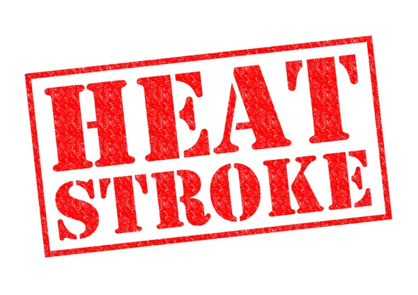 HEAT STROKE — Fotografie, imagine de stoc