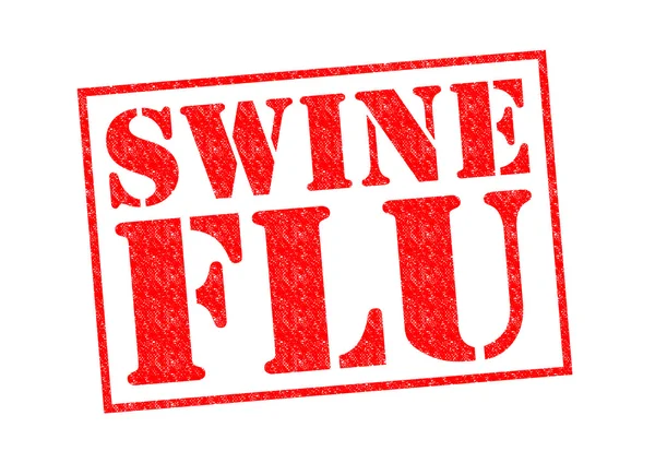 Свинной грипп — стоковое фото