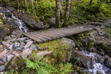 İskoçya 'nın kuzeyindeki Nevis Vadisi' ndeki bir şelalenin üzerinde küçük tahta bir köprü..