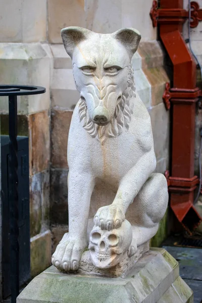 Beautifully Sculptured Stone Wolf Guards Entrance Historic Inverness Town House — Stock Photo, Image