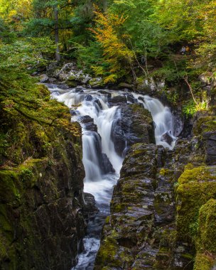 Dunkeld, İskoçya - 11 Ekim 2021: İskoçya 'nın Dunkeld kentindeki Hermitage ormanlık alanındaki güzel Black Linn şelalesi.