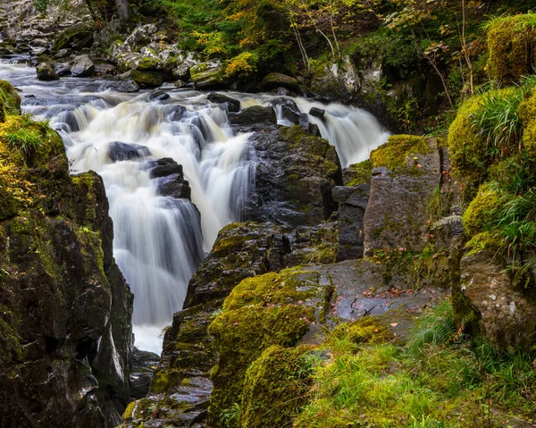 The beautiful Black Linn waterfall in the Hermitage woodland, in Dunkeld, Scotland.