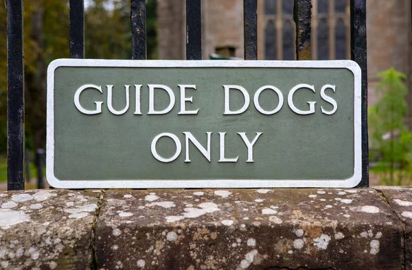 Close Guide Dogs Only Entrar Dunkeld Escócia — Fotografia de Stock