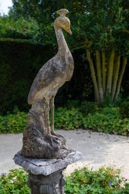 İngiltere 'nin Essex kentindeki Saffron Walden kasabasında, Bridge End Garden' da bir Tavuskuşu heykelinin güzel taş heykelinin yakın çekimi..