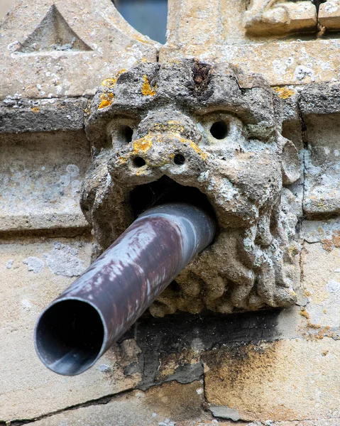 Primer Plano Una Gárgola Exterior Iglesia San Pedro San Pablo — Foto de Stock