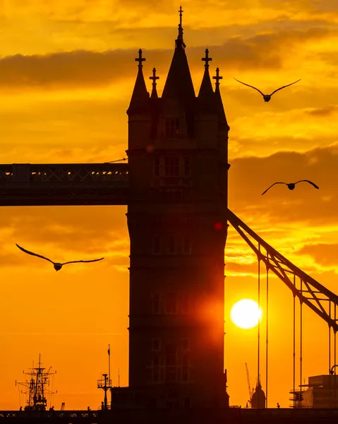 Gaivotas Voando Direção Uma Ponte Torre Silhueta Londres Enquanto Sol — Fotografia de Stock
