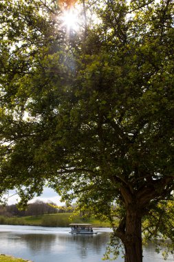 Kent, İngiltere - 1 Mayıs 2021: Kent, İngiltere 'deki Leeds Şatosu' ndaki Büyük Su üzerindeki Siyah Kuğu Feribotu manzarası.