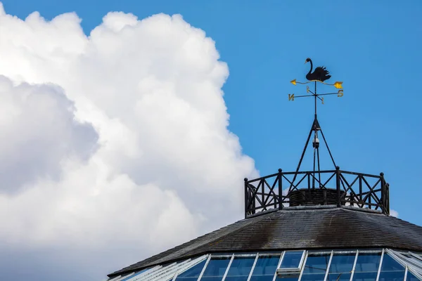 Чёрный Лебедь Крыше Кафе Замке Лидс Кенте Великобритания — стоковое фото