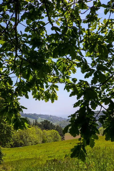 Mot Fiskebyn Mevagissey Från Lost Gardens Heligan Cornwall Storbritannien — Stockfoto