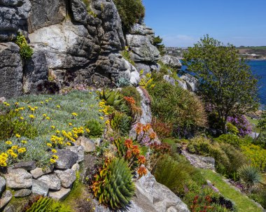 İngiltere 'nin Cornwall kentindeki tarihi St. Michaels Dağı' ndaki çarpıcı kale bahçeleri..