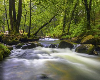 Golitha Şelalesi 'nin çağlayanlarından biri İngiltere' nin Cornwall kentindeki Liskeard yakınlarında Draynes Ormanı 'ndaki Fowey Nehri' nde yer almaktadır..