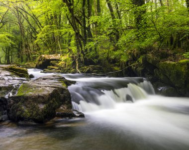 Golitha Şelalesi 'nin çağlayanlarından biri İngiltere' nin Cornwall kentindeki Liskeard yakınlarında Draynes Ormanı 'ndaki Fowey Nehri' nde yer almaktadır..