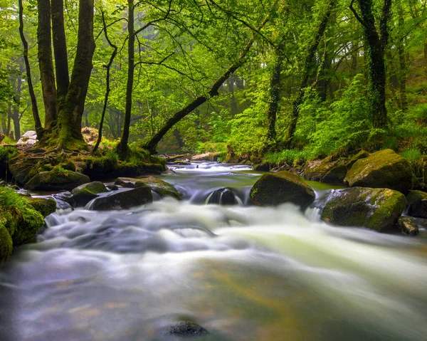 Una Delle Cascate Golitha Falls Situata Sul Fiume Fowey Draynes — Foto Stock