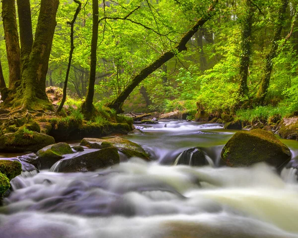 Una Delle Cascate Golitha Falls Situata Sul Fiume Fowey Draynes — Foto Stock