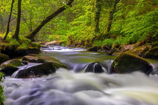 Una Delle Cascate Golitha Falls Situata Sul Fiume Fowey Draynes — Foto Stock