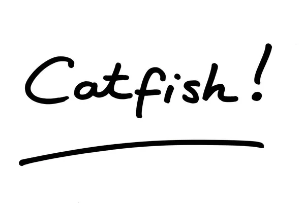 Catfish Escrito Mano Sobre Fondo Blanco — Foto de Stock