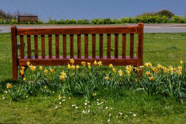 Norfolk, İngiltere 'nin güzel deniz kenarı kasabası Hunstanton' daki körfez ve bahar nergisleri..