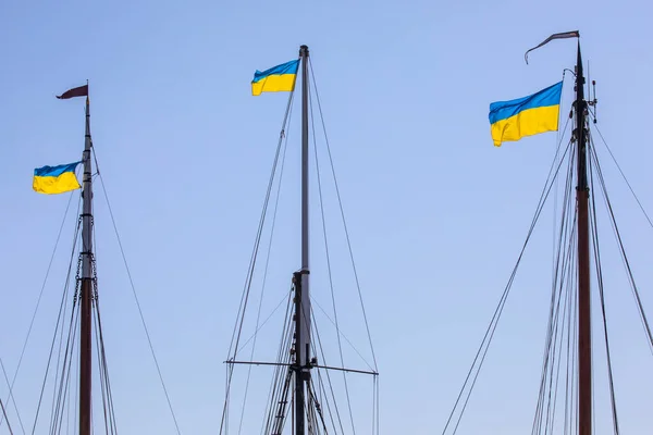 Ukrainian Flags Flying Masts Boats Docked Hermitage Moorings Wapping London — Stok fotoğraf