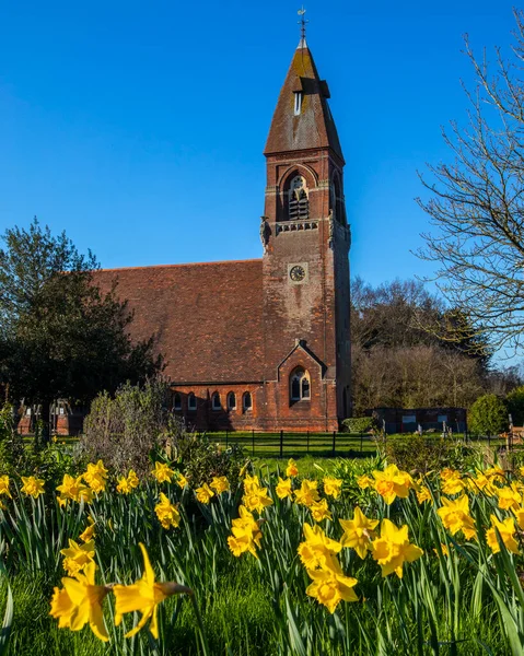 View Spring Daffodils John Evangelist Church Village Ford End Essex — Stockfoto
