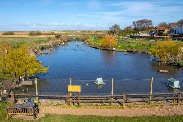 Blick Über Den Blakeney Duck Pond Schönen Dorf Blakeney North — Stockfoto