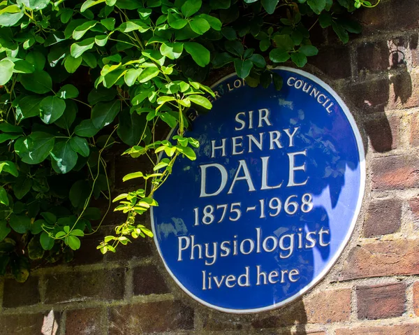 英国伦敦 2022年5月19日 英国伦敦汉普斯特德地区弗农山上的一块蓝色斑块 纪念历史生理学家亨利 戴尔爵士曾经居住过的地方 — 图库照片