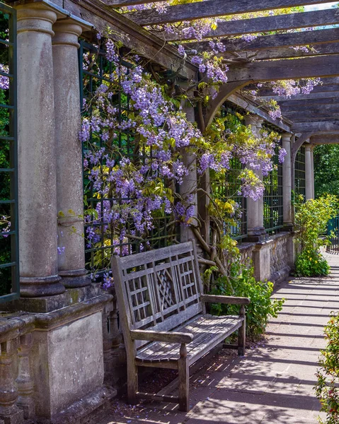 Londres Royaume Uni Mai 2022 Une Belle Vue Pergola Hill — Photo