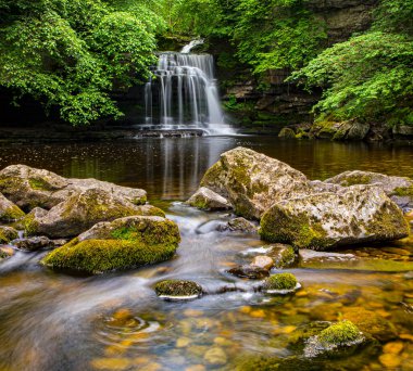 Büyüleyici Kazan Şelalesi, aynı zamanda West Burton Şelalesi olarak da bilinir Yorkshire Dales, İngiltere 'deki West Burton köyünde..