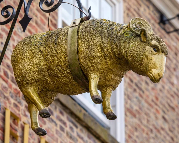 Thirsk June 7Th 2022 Sculpture Golden Sheep Hanging Entrance Golden — 스톡 사진