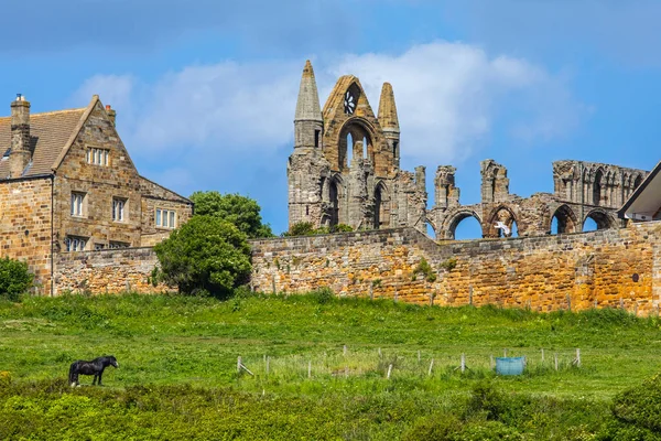 View Remains Whitby Abbey Seaside Town Whitby North Yorkshire — Stockfoto