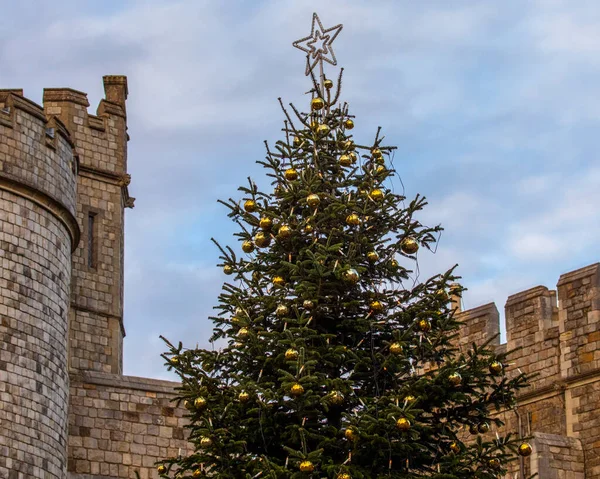 Windsor Reino Unido Novembro 2021 Uma Árvore Natal Fora Histórico Fotos De Bancos De Imagens