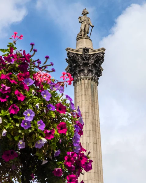 英国ロンドンのトラファルガー広場にある壮大なネルソン列の眺め — ストック写真