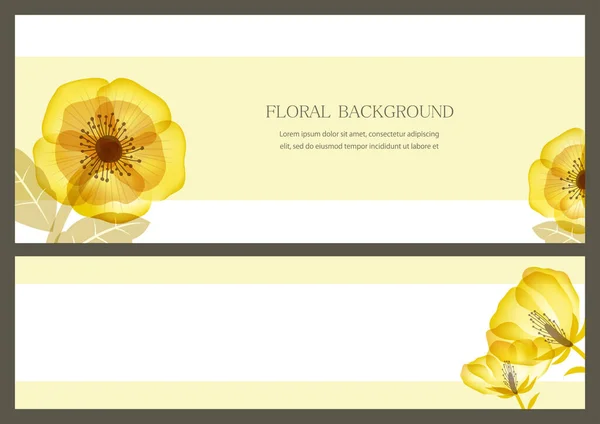 Set Vector Floral Backgrounds Text Space Isolated Plain Background — Stockový vektor