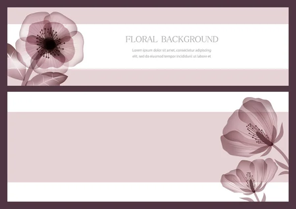 Set Vector Floral Backgrounds Text Space Isolated Plain Background — Stockový vektor