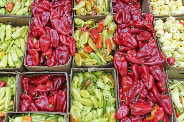 Colorfull peppers — Stock Photo, Image