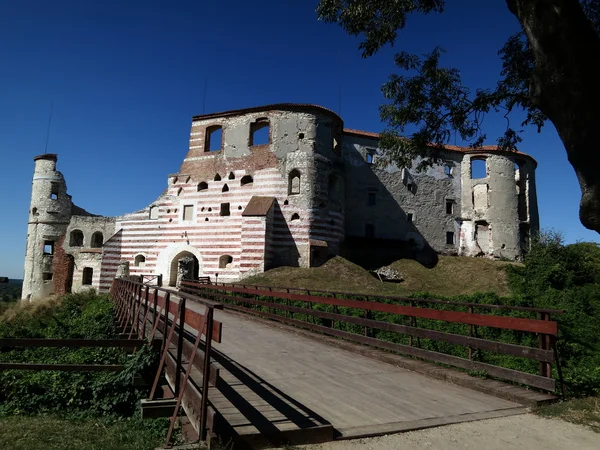 kale kalıntıları janowiec, Polonya