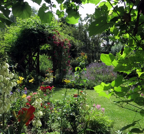 Magische tuin in de zomer — Stockfoto