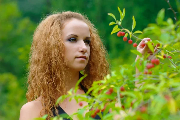 Girl collects berries — Stock Photo, Image