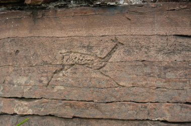 Petroglyphs 