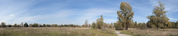 Autumn landscape — Stock Photo, Image