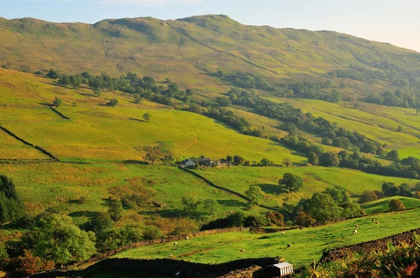 Secluded Cumbrian Farm from 'The Struggle'. ロイヤリティフリーのストック画像