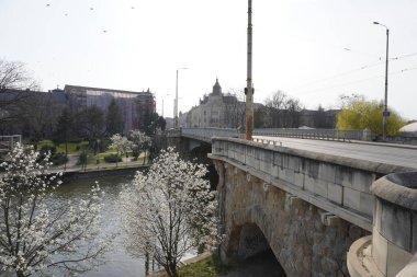 Romanya 'daki Bega Nehri' ne bakın.
