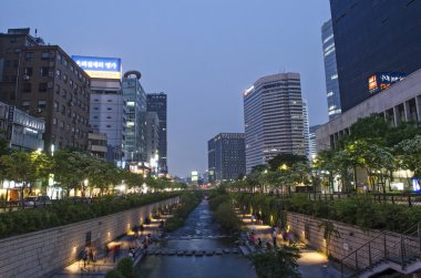 cheonggyecheon dere Seul, Güney Kore