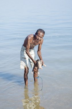 İhtiyar domuz deniz Doğu Timor yıkama