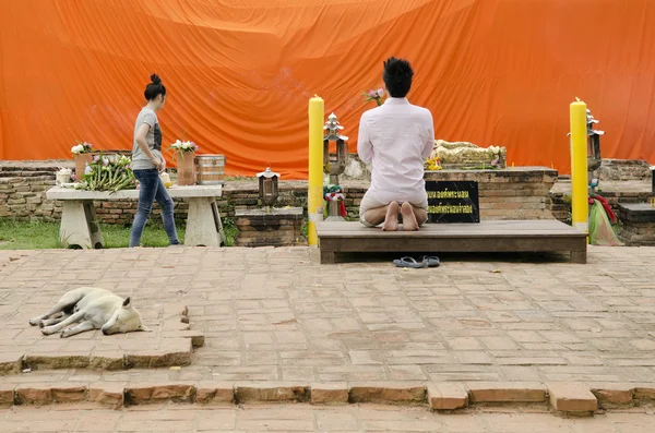 仏教で祈っている人のタイのアユタヤ神社します。 — ストック写真