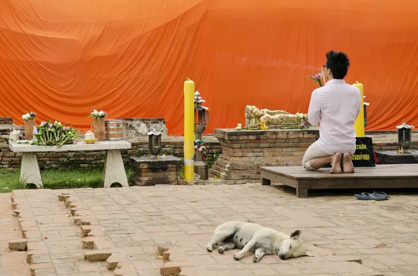 Man Klaagmuur, boeddhistische relikwie ayutthaya thailand — Stockfoto