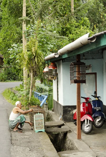 Pouliční scéna v bali Indonésie — Stock fotografie